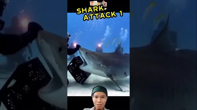Shark Attack 1 #shorts #shortsvideo #viral #viralshorts смотреть онлайн