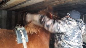 Русский тяжеловоз "Сахалин" с архива нашёл видео, решил и вам показать, а зимой другие работы  ?