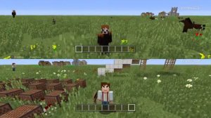 Minecraft: PlayStation®4 Edition Malgovania song in minecraft