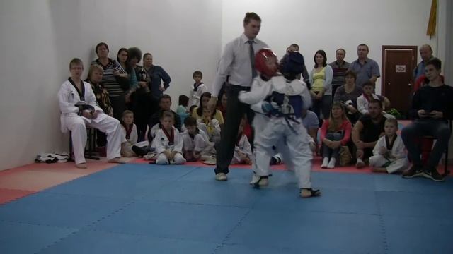 Тхэквондо (ВТФ). Алькор. Керуги 11. Финал смотреть онлайн