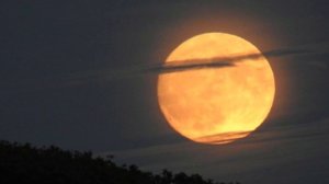 Самая большая луна за последние 70 лет. Фотогалерея.