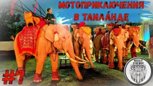 Приключения и мотопутешествие в Таиланде 2023 #7