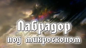 Лабрадор под микроскопом. Прекрасные картины создаваемые природой. Очень красивые и необычные кадры.