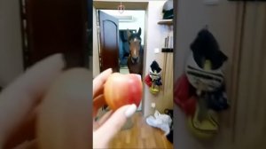 Будешь яблоко?⁠⁠