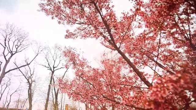 Kia Forte Koup смотреть онлайн