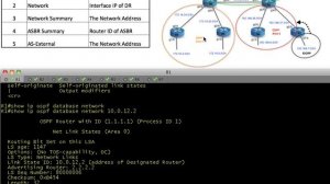 OSPF LSA Types for IPv4