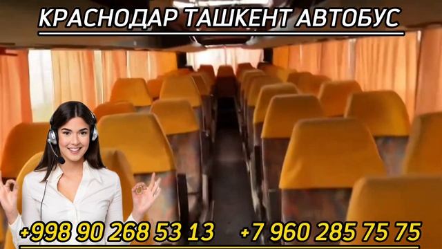 #автобус #краснодар Краснодар Ташкент автобус , Ростов Ташкент автобус , Саратов Ташкент автобус ￼