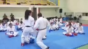 Sensei Raphael Veras (drill) Karate seminar in Israel. 2018