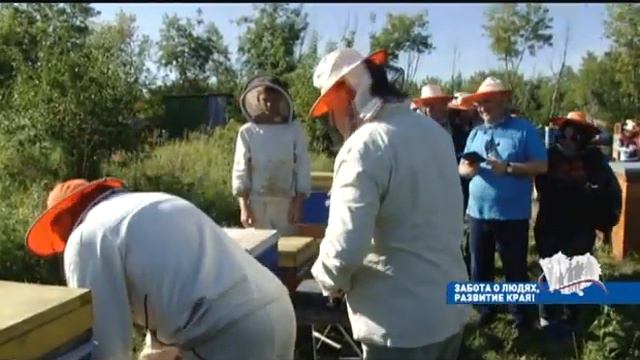 А. Карлин: программа по развитию пчеловодства в Алтайском крае должна быть пересмотрена смотреть онлайн