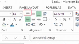 Formatting Cells font size styles and alignment in Ms Excel Workbook