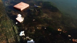 Загрязнение водных ресурсов