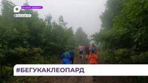Трейловый полумарафон Leo.Run прошел на «Земле леопарда» в Приморье