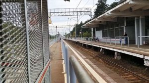 Стриж и Ласточка, станция Храпуново