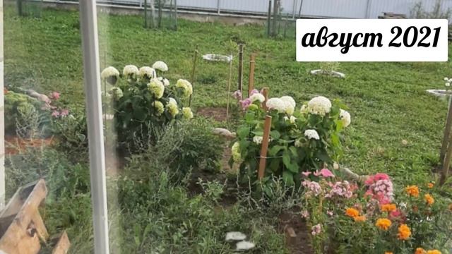 Клумба своими руками, для начинающих, фото. смотреть онлайн