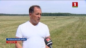 На юге Беларуси практически завершен первый укос трав