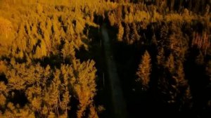 Looking For The Summer cover ex Chris Rea (Крис Ри - русский текст А.Баранов)