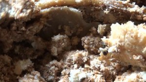 Освещение для Черной Львинки.