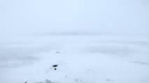 Ловля леща зимой на мормышку ЭТО ЛЮБИТ Лещ и Плотва Зимой!СЕКРЕТЫ ловли КРУПНОГО леща! 2021г