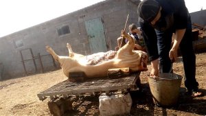 Разбор свиной туши на 4 части.