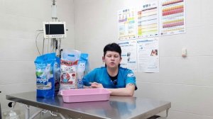 Как приучить котёнка к лотку. Выбор наполнителя