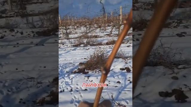 ЛАЙФХАК.КАК СОГНУТЬ ЛОЗУ