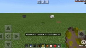 как покрасить броню для лошади в Minecraft