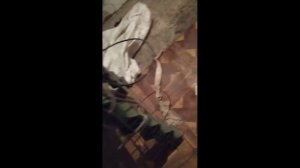 Крепление эхолота к транцу. Дёшево и сердито. Струбцина эхолота своими руками