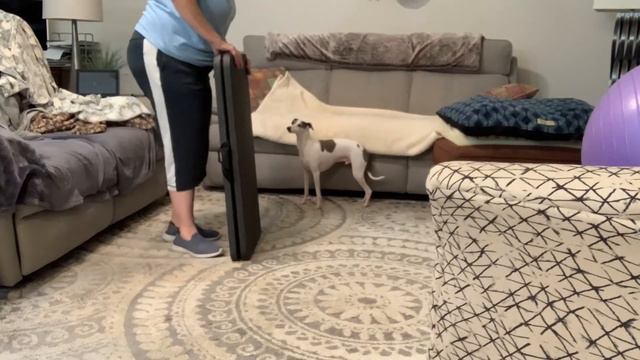 Shade Category Four Balance Wide card table folded in half 24inches x 48inches смотреть онлайн