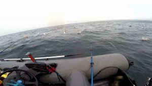 ВЕЧЕРНИЙ КЛЁВ ТРЕСКИ . РЫБАЛКА в БАРЕНЦЕВОМ МОРЕ. "Evening the bite of cod. Barents sea. "