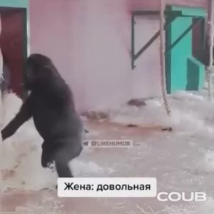 приколы - жена довольна