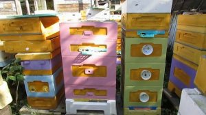 подготовка пчел в зиму в сентябре в 12 рамочном улье на рамку Дадан   ответы на вопросы