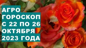 Агрогороскоп с 22 по 26 октября 2023 года. Agrohoroscope from October 22 to October 26, 2023