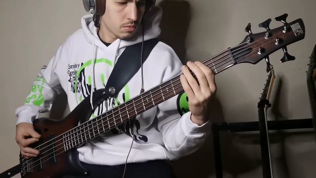 Fear Factory - Acres of skin (bass cover) смотреть онлайн