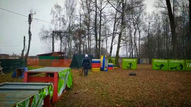 Послушание.Тренировки  мондьоринг.