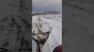 Снегозадержание