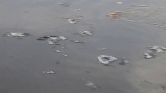 Виталий Панасюк перепплывает р. Обь (после моста) смотреть онлайн