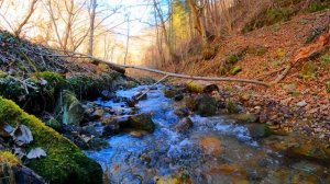 Дыхание весны