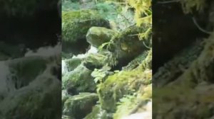 Видео -рассказ Мужской монастырь "Крестовая Пустынь" Село Солох-аул .СДК с.Отрадное