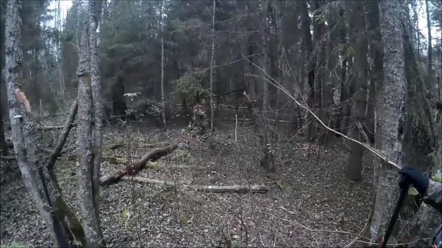 Работа русских гончих по зайцу смотреть онлайн