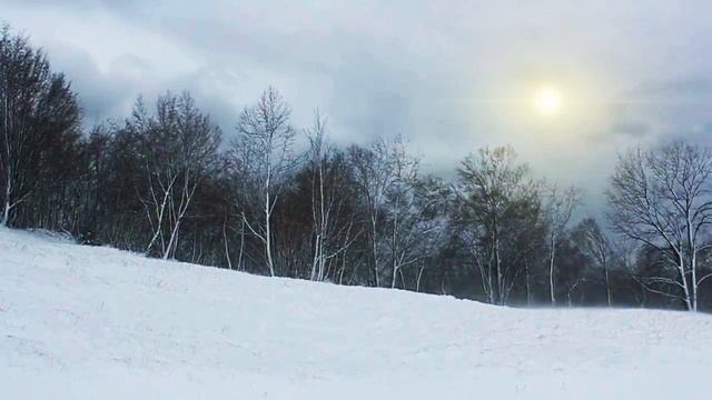 Зимний лес, красивая музыка On Our Knees. смотреть онлайн