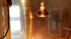 Амерауканы и Синь  Синь Дянь  переехали в новый ?