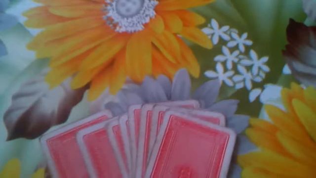 Пяниця - интересная карточная игра \часть2\ смотреть онлайн