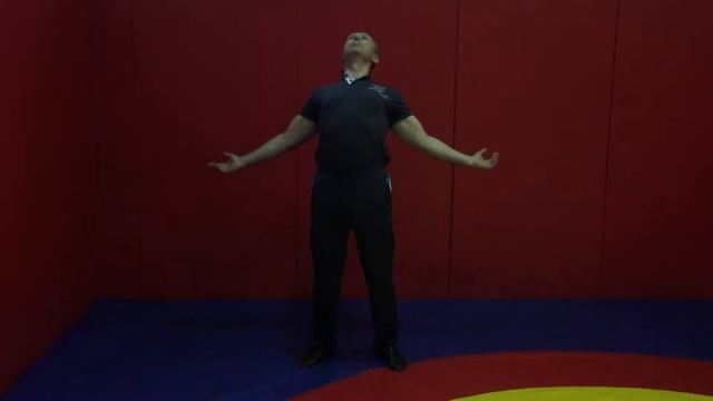 МИНИ-КОМПЛЕКС УПРАЖНЕНИЙ ДЛЯ ПОЗВОНОЧНИКА "4 ДАНТИСТА - ГОРДЫЙ, ЛЕТЯЩИЙ, СПЯЩИЙ, ПЛЫВУЩИЙ" смотреть онлайн