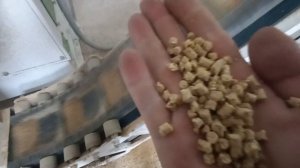 Линия гранулирования комбикорма на 5 т/ч