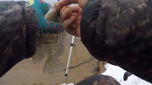 Атомный пенопласт зимой. Ловля теляпии в Удомле