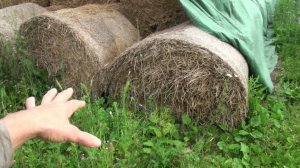 Сено под флисом дольше года