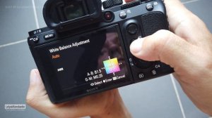 Как это снято? Настройки камеры Sony A7 III + 135mm F1.8 GM