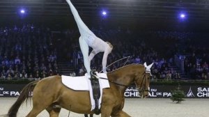 Вольтижировка-что это? #верховая_езда #кони #конныйспорт #лошади