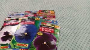 Какие семена сажать на рассаду в феврале ?цветы?