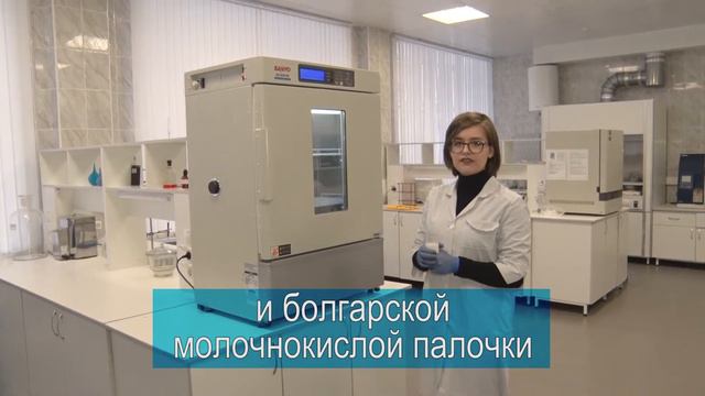 В лаборатории Технологического факультета умеют делать натуральный йогурт смотреть онлайн